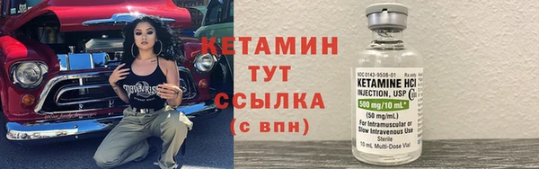 сатива Вяземский
