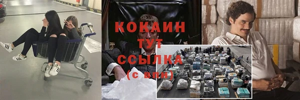 сатива Вяземский