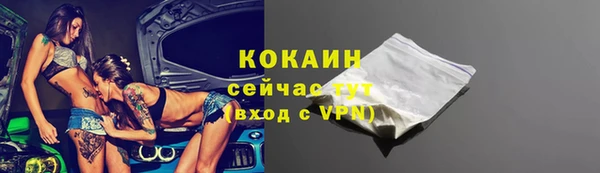 сатива Вяземский