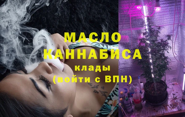 сатива Вяземский