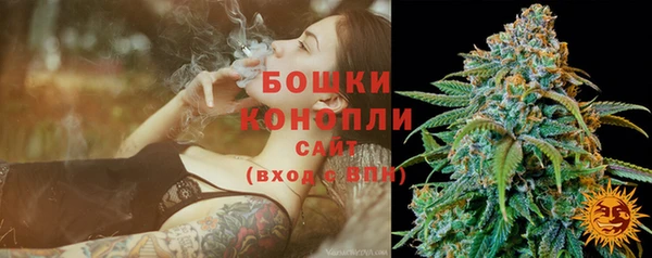 сатива Вяземский