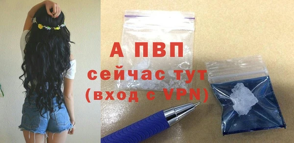 сатива Вяземский