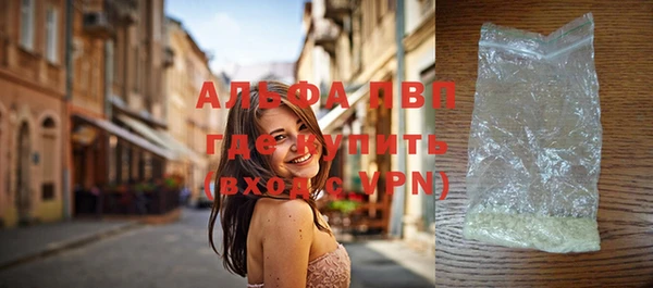 сатива Вяземский