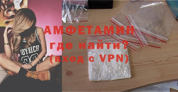 сатива Вяземский